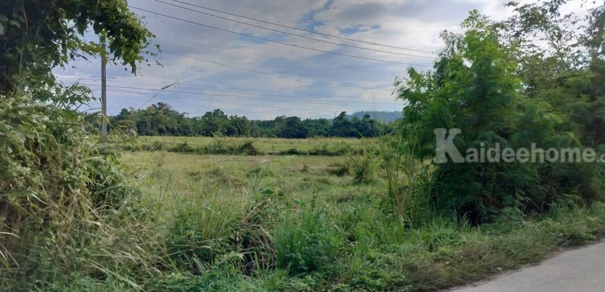 ที่ดินเชียงใหม่ ดอยสะเก็ด ติดถนนใหญ่ทำเลดี เจ้าของขายเอง