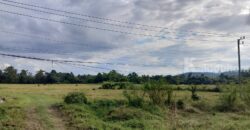 ที่ดินเชียงใหม่ ดอยสะเก็ด ติดถนนใหญ่ทำเลดี เจ้าของขายเอง