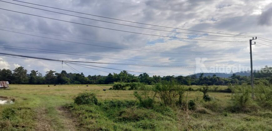 ที่ดินเชียงใหม่ ดอยสะเก็ด ติดถนนใหญ่ทำเลดี เจ้าของขายเอง