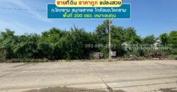 ขายที่ดิน ถนนโคกขาม สมุทรสาคร แปลงสวย พื้นที่ 200 ตรว. ราคาถูก ใกล้อบต.โคกขาม เหมาะลงทุน