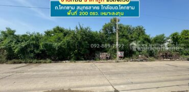 ขายที่ดิน ถนนโคกขาม สมุทรสาคร แปลงสวย พื้นที่ 200 ตรว. ราคาถูก ใกล้อบต.โคกขาม เหมาะลงทุน