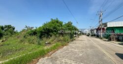 ขายที่ดิน ถนนโคกขาม สมุทรสาคร แปลงสวย พื้นที่ 200 ตรว. ราคาถูก ใกล้อบต.โคกขาม เหมาะลงทุน