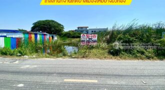 ขายที่ดิน ซอยหล่อพระ ถนนบางกรวย-ไทรน้อย บางบัวทอง พื้นที่ 100 ตารางวา ใกล้สำนักงานเทศบาลเมืองใหม่บางบัวทอง