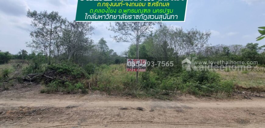 ขายที่ดิน ถนนกรุงนนท์-จงถนอม ซอยศรีกมล ต.คลองโยง อ.พุทธมณฑล นครปฐม พื้นที่ 197 ตารางวา ขาย 1.1 ล้านบาท ใกล้มหาวิทยาลัยราชภัฎสวนสุนันทา