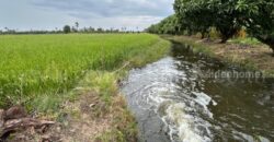 ที่ดิน 9-3-99.5 ไร่ ดอนโพธิ์ – สุพรรณบุรี มีผู้เช่า ทำเลดี