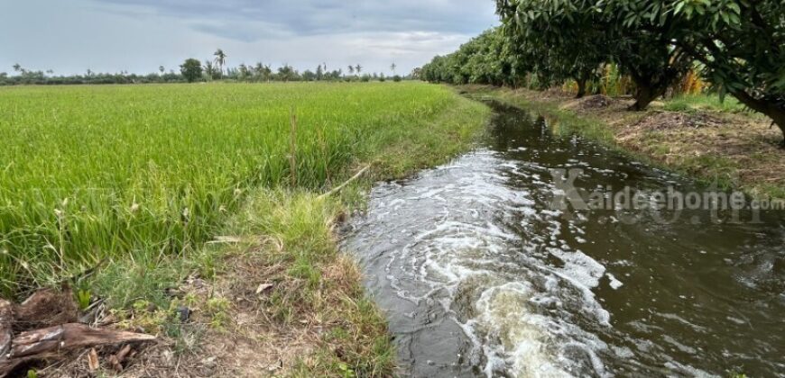 ที่ดิน 9-3-99.5 ไร่ ดอนโพธิ์ – สุพรรณบุรี มีผู้เช่า ทำเลดี