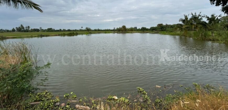 ที่ดิน 9-3-99.5 ไร่ ดอนโพธิ์ – สุพรรณบุรี มีผู้เช่า ทำเลดี