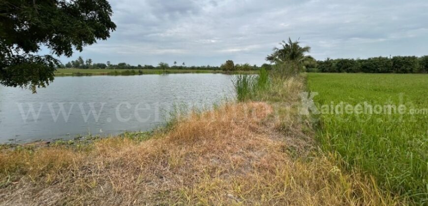 ที่ดิน 9-3-99.5 ไร่ ดอนโพธิ์ – สุพรรณบุรี มีผู้เช่า ทำเลดี