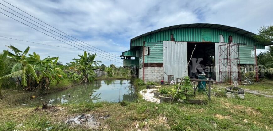 ที่ดินเปล่า 2 ไร่ รังสิต – นครนายก คลอง 10 หนองเสือ ปทุมธานี