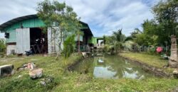 ที่ดินเปล่า 2 ไร่ รังสิต – นครนายก คลอง 10 หนองเสือ ปทุมธานี