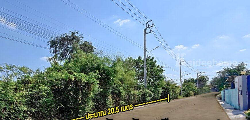 ขายที่ดินปากเกร็ด 201 ตร.ว. ซอยวัดสลักเหนือ 4 ถนนกว้าง 8 ม.