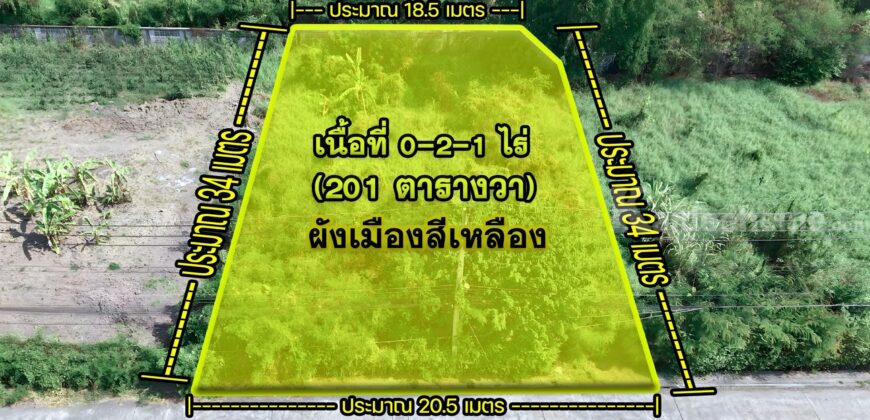 ขายที่ดินปากเกร็ด 201 ตร.ว. ซอยวัดสลักเหนือ 4 ถนนกว้าง 8 ม.