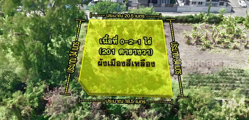ขายที่ดินปากเกร็ด 201 ตร.ว. ซอยวัดสลักเหนือ 4 ถนนกว้าง 8 ม.
