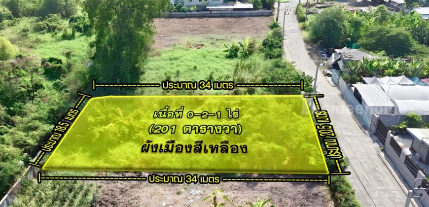 ขายที่ดินปากเกร็ด 201 ตร.ว. ซอยวัดสลักเหนือ 4 ถนนกว้าง 8 ม.