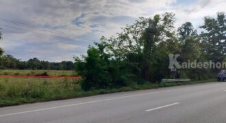 ที่ดินเชียงใหม่ ดอยสะเก็ด เนื้อที่ 8 ไร่ โทร 099-545-9556