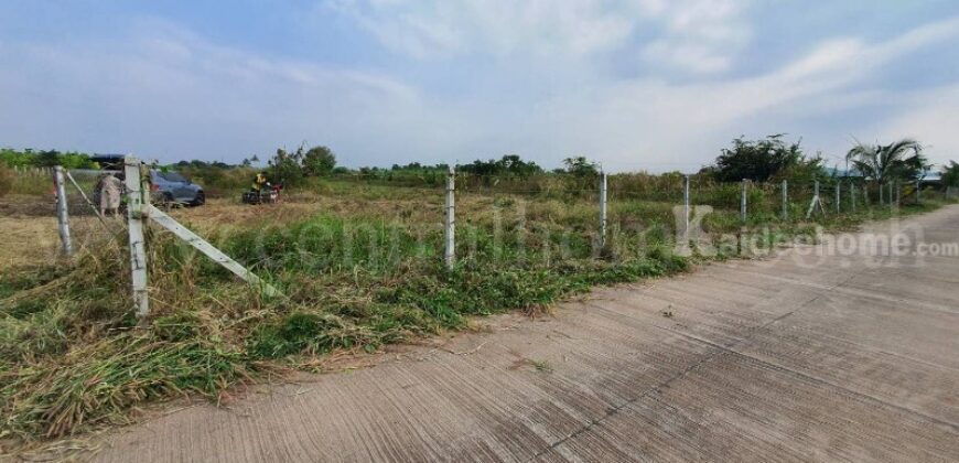 ที่ดินเปล่า 10-3-36 ไร่ ท่าม่วง กาญจนบุรี ปลูกต้นสักทองกว่า 500 ต้น