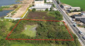 ที่ดินนนทบุรี ไทรน้อย 2 ไร่ ติดถนนใหญ่ สอบถามโทร 099-545-9556