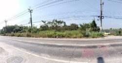 ที่ดินไทรน้อย นนทบุรี ติดถนนทางหลวงชนบท