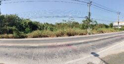 ที่ดินไทรน้อย นนทบุรี ติดถนนทางหลวงชนบท