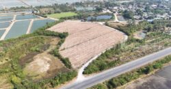 ที่ดินเปล่า ถมแล้ว 12-3-22 ไร่ ห้วยม่วง นครปฐม