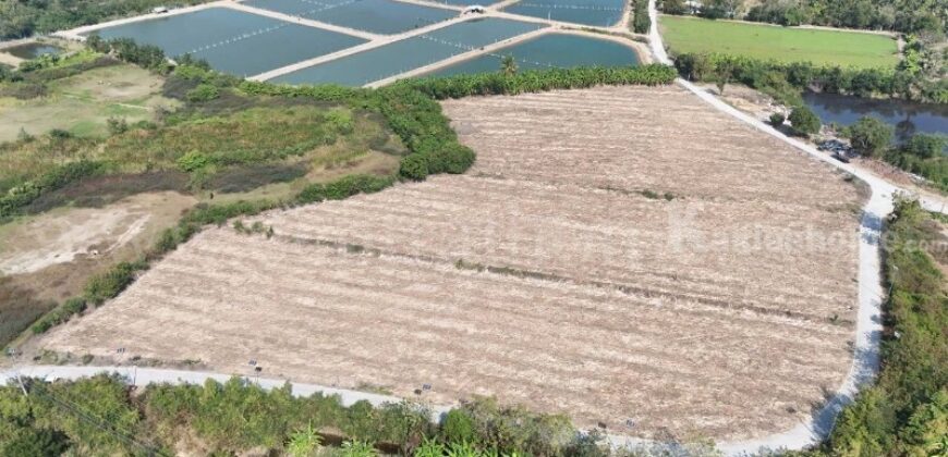 ที่ดินเปล่า ถมแล้ว 12-3-22 ไร่ ห้วยม่วง นครปฐม