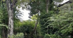 รหัสC7039 ให้เช่า ขาย บ้านเดี่ยว 2ชั้น หมู่บ้านสัมมกร รามคำแหง112 ใกล้รถไฟฟ้าสถานีสัมมากร