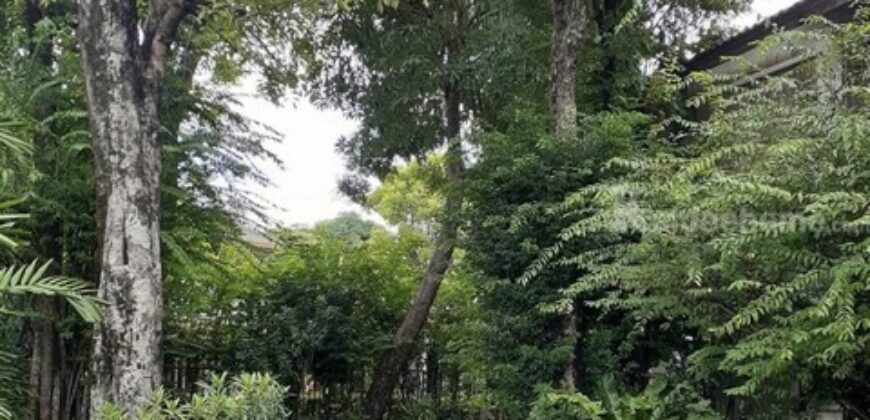 รหัสC7039 ให้เช่า ขาย บ้านเดี่ยว 2ชั้น หมู่บ้านสัมมกร รามคำแหง112 ใกล้รถไฟฟ้าสถานีสัมมากร