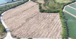 ที่ดินเปล่า ถมแล้ว 12-3-22 ไร่ ห้วยม่วง นครปฐม