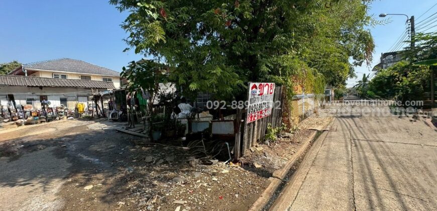 ขายที่ดิน ถนนเพชรเกษม79 ซอย14 พื้นที่ 50 ตรว. ขาย 1.4 ล้านบาท ทำเลดี ใกล้ตลาดสด เพชรเกษม79