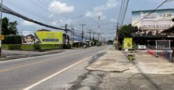 ขายบ้านพร้อมที่ดิน ทำเลทองใจกลางเมืองระยอง 164 ตร.ว.