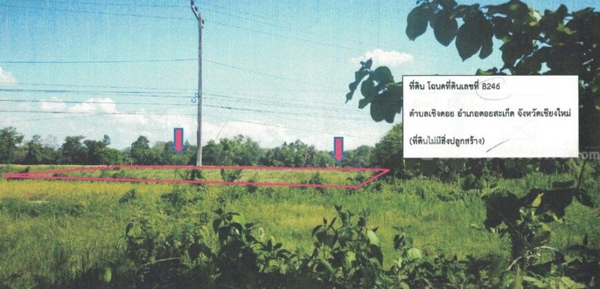 ที่ดินเชียงใหม่ ดอยสะเก็ด เนื้อที่ 8 ไร่ โทร 099-545-9556