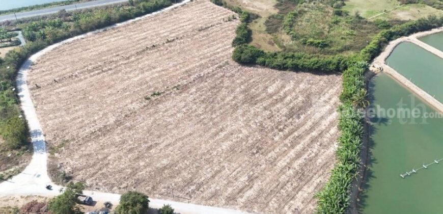 ที่ดินเปล่า ถมแล้ว 12-3-22 ไร่ ห้วยม่วง นครปฐม