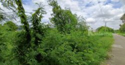 ที่ดินใจกลางเมืองสุพรรณบุรี สนใจโทรสอบถามข้อมูล 0995459556