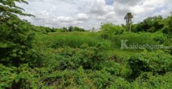 ที่ดินใจกลางเมืองสุพรรณบุรี สนใจโทรสอบถามข้อมูล 0995459556