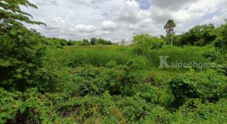 ที่ดินใจกลางเมืองสุพรรณบุรี สนใจโทรสอบถามข้อมูล 0995459556