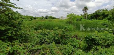 ที่ดินใจกลางเมืองสุพรรณบุรี สนใจโทรสอบถามข้อมูล 0995459556