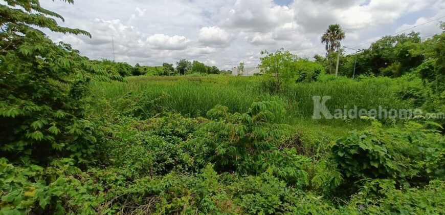 ที่ดินใจกลางเมืองสุพรรณบุรี สนใจโทรสอบถามข้อมูล 0995459556