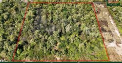 ที่ดินเปล่า 4 ไร่ แบ่งขายได้แปลงละ 1 ไร่ บางปะกง – ฉะเชิงเทรา ราคาถูก