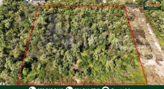 ที่ดินเปล่า 4 ไร่ แบ่งขายได้แปลงละ 1 ไร่ บางปะกง – ฉะเชิงเทรา ราคาถูก