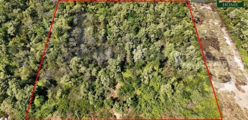 ที่ดินเปล่า 4 ไร่ แบ่งขายได้แปลงละ 1 ไร่ บางปะกง – ฉะเชิงเทรา ราคาถูก