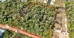 ที่ดินเปล่า 4 ไร่ แบ่งขายได้แปลงละ 1 ไร่ บางปะกง – ฉะเชิงเทรา ราคาถูก