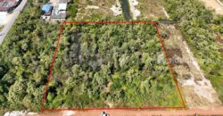 ที่ดินเปล่า 4 ไร่ แบ่งขายได้แปลงละ 1 ไร่ บางปะกง – ฉะเชิงเทรา ราคาถูก