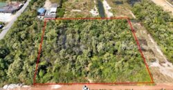 ที่ดินเปล่า 4 ไร่ แบ่งขายได้แปลงละ 1 ไร่ บางปะกง – ฉะเชิงเทรา ราคาถูก