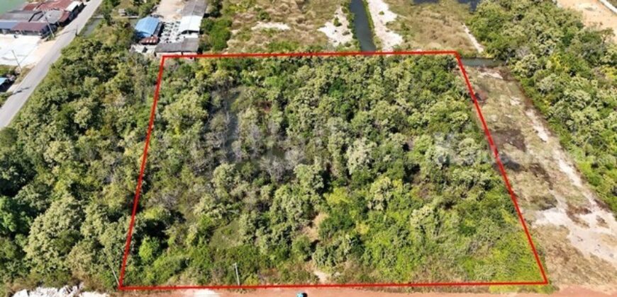 ที่ดินเปล่า 4 ไร่ แบ่งขายได้แปลงละ 1 ไร่ บางปะกง – ฉะเชิงเทรา ราคาถูก