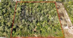 ที่ดินเปล่า 4 ไร่ แบ่งขายได้แปลงละ 1 ไร่ บางปะกง – ฉะเชิงเทรา ราคาถูก