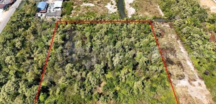 ที่ดินเปล่า 4 ไร่ แบ่งขายได้แปลงละ 1 ไร่ บางปะกง – ฉะเชิงเทรา ราคาถูก