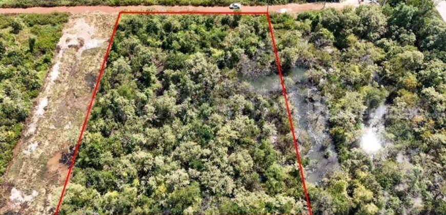 ที่ดินเปล่า 4 ไร่ แบ่งขายได้แปลงละ 1 ไร่ บางปะกง – ฉะเชิงเทรา ราคาถูก