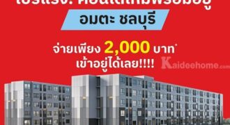 คอนโดใหม่ ราคาไม่ถึงล้าน แต่บรรยากาศดีขนาดนี้ Vay Amata เวย์ อมตะ โทร 093-1681685