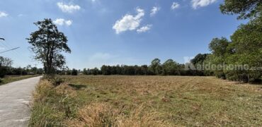 ขายที่ดิน 13 ไร่ 63 ตร.ว. บ้านนา นครนายก ถนนสุวรรณศร ยกแปลก หรือแบ่งก็ได้ โทร 089-7411750