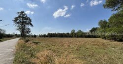 ขายที่ดินราคาถูก นครนายก 13 ไร่ 63 ตร.ว. ยกแปลกหรือแบ่งก็ได้ โทร 089-7411750